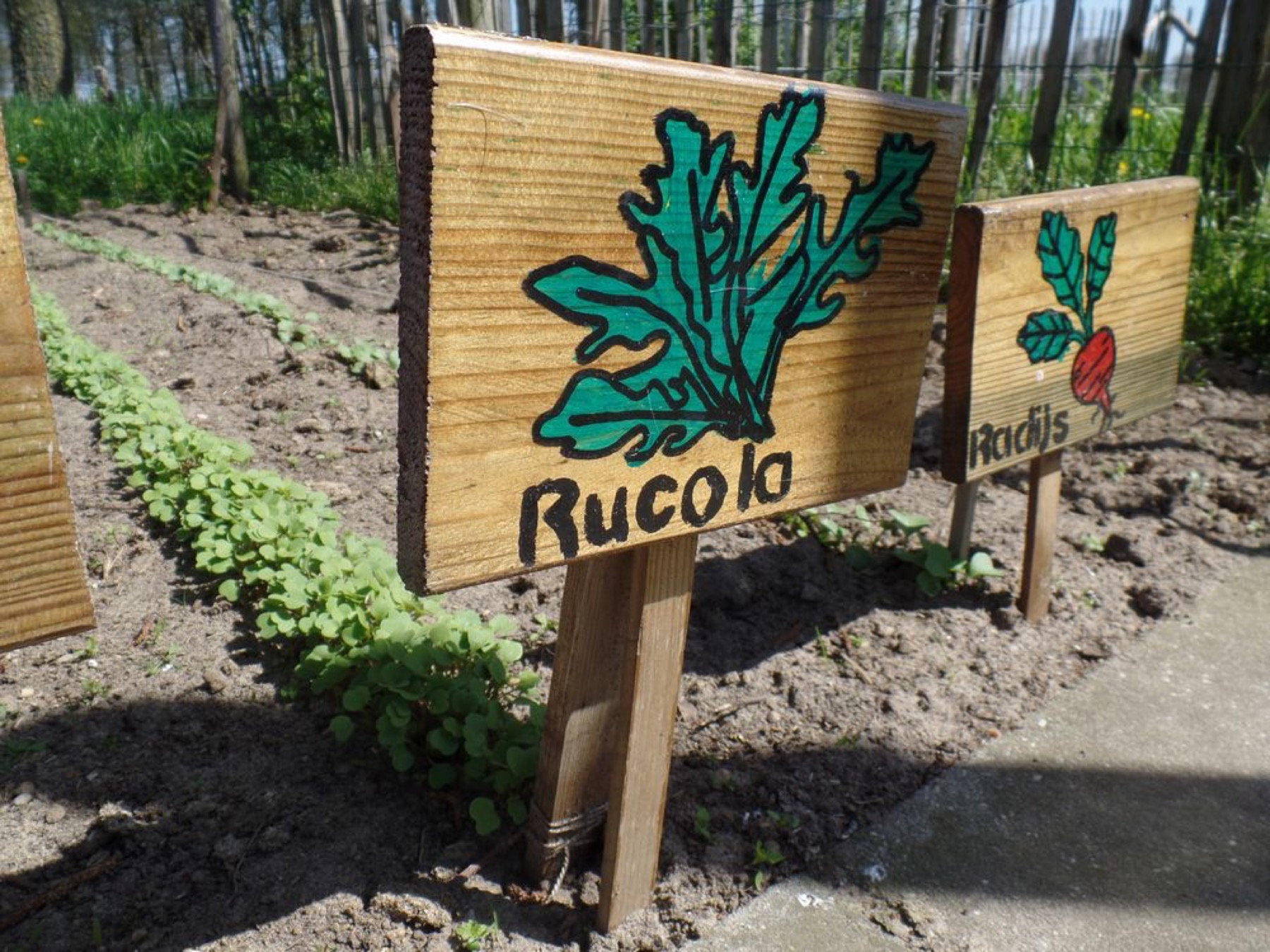Moestuin met eigen bordjes