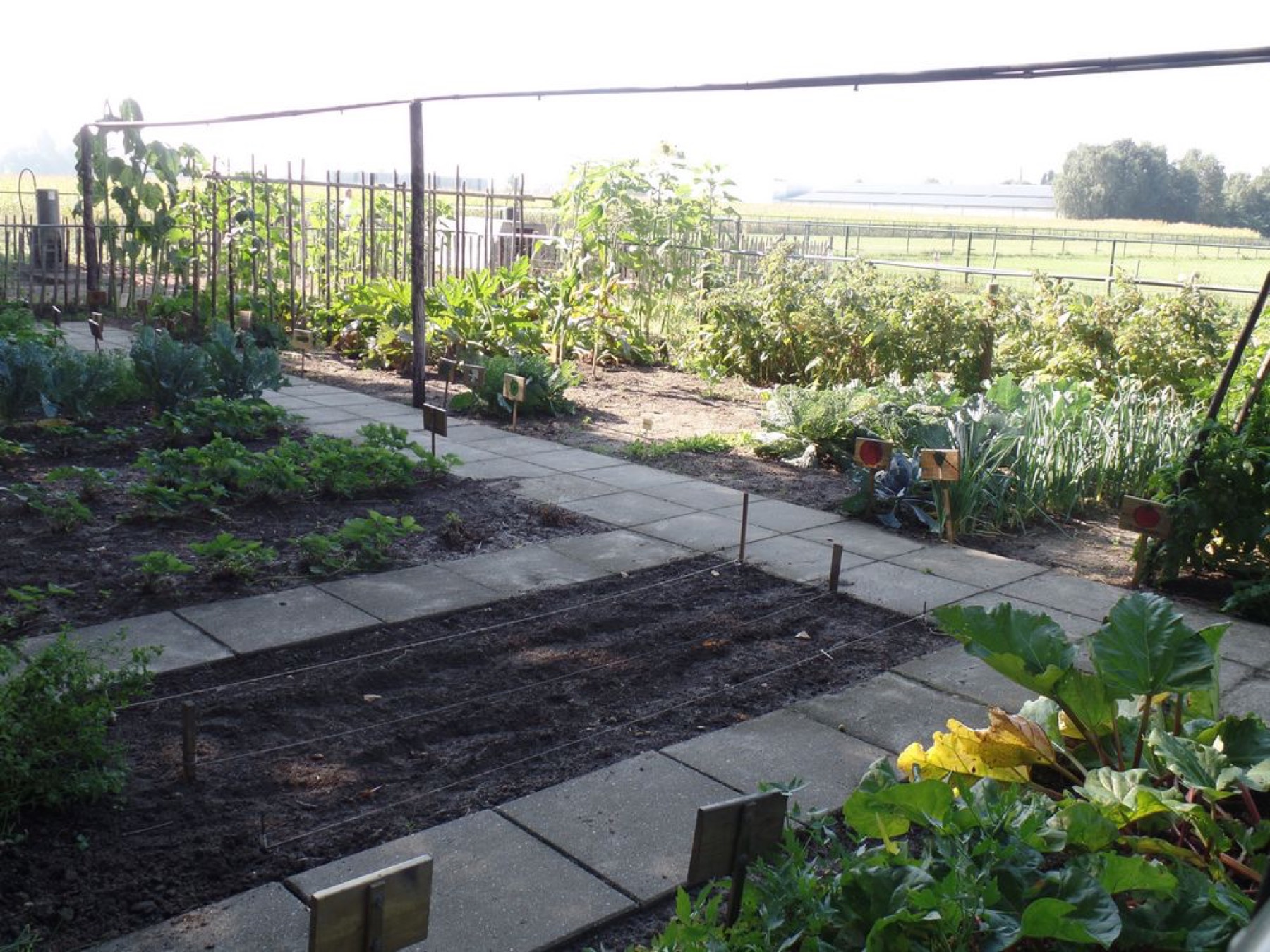 Moestuin en plantenkas